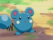 EP278 Azurill