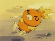 EP278 Torchic debilitado