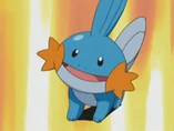 EP277 Mudkip