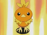 EP277 Torchic