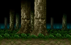 Living Forest