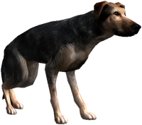 Bestiary Dog full