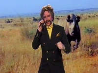 Dixon