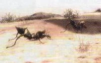 Antsmh3