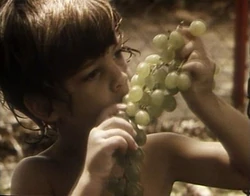 Kidssing-fruit