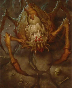 Nadir spider.jpg
