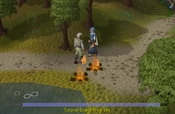 Survival expert