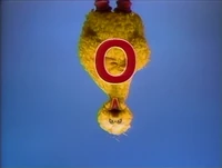 BigBird.upsidedownO