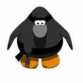 Club Ninja Penguin image.jpg (2 KB)