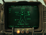 F3 pipboy