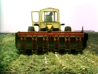 Sugarbeet.jpg