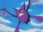 Crobat de Brock