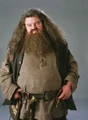 PromoHP3 Rubeus Hagrid.jpg