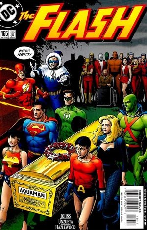 Cover for Flash #165