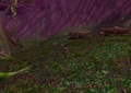 Teldrassil furbolg village.jpg