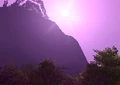Teldrassil village view.jpg