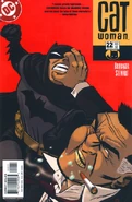 Catwoman Vol 3 22