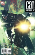 Catwoman Vol 3 61