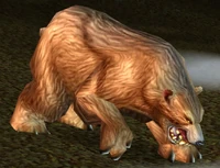 Grizzly Bear