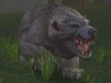 Vicious Gray Bear