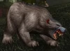 Rabid Thistle Bear