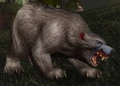Rabid Thistle Bear.jpg