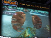 Tuskarr BlizzCon