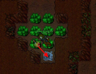 PoisonFields Dreamer'sChallenge.jpg