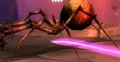 Carrion Spinner.jpg