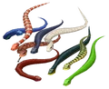 Snake.png