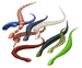 Snake.png