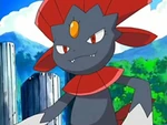 EP509 Weavile de Polo