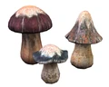 Gartenaccessoires-033-1-