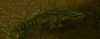 Sawtooth Crocolisk