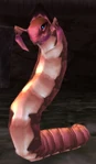 Dredge Worm