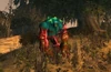 Drogoth the Roamer