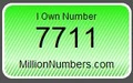 7711.jpg