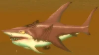Image of Lurking Shark