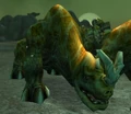 Tamed Kodo.jpg