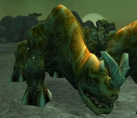 Tamed Kodo