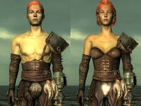 FO3 raider 01