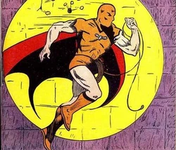Fly Man
