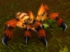Tarantula