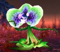 Thistle Lasher