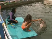 GirlDolphins