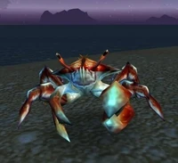 Image of Pygmy Surf Crawler