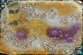 Crystal Song Forest.jpg