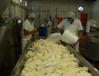 DairyFactory