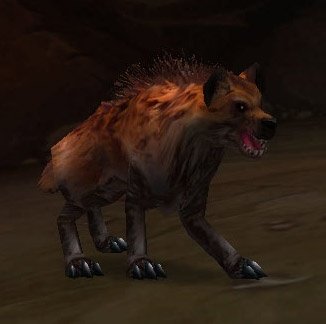 Tame Hyena