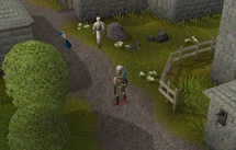 Seers' Village Achievement Diary